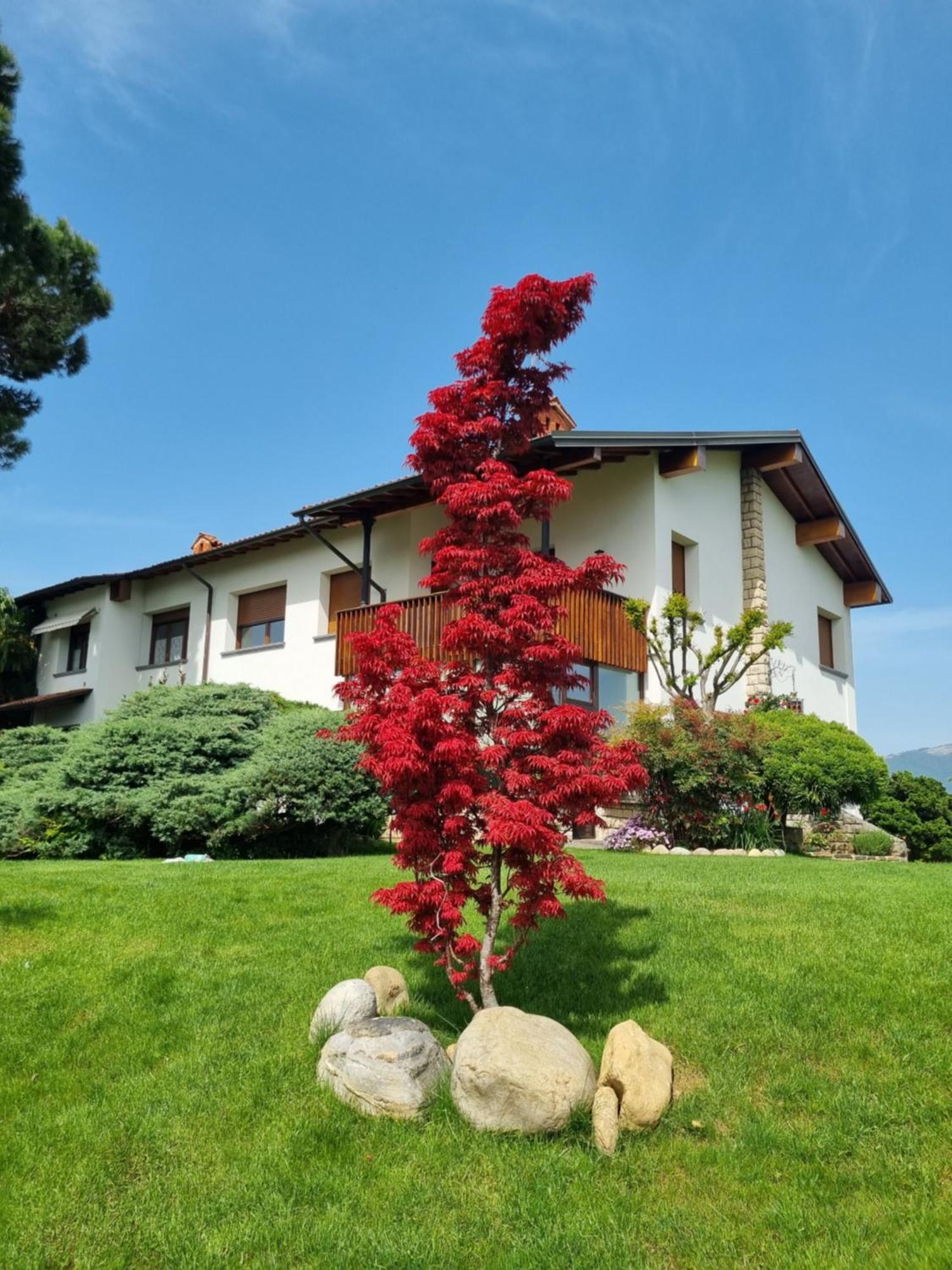 B&B Fontanella Curno Exterior photo